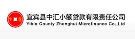 宜賓縣中匯小額貸款有限責(zé)任公司