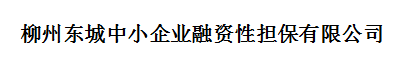 柳州東城中小企業(yè)融資性擔保有限公司