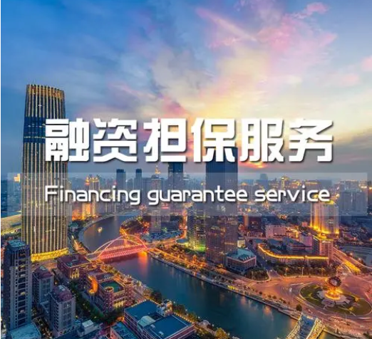 在中國特色金融發(fā)展道路上構建融資擔保新格局