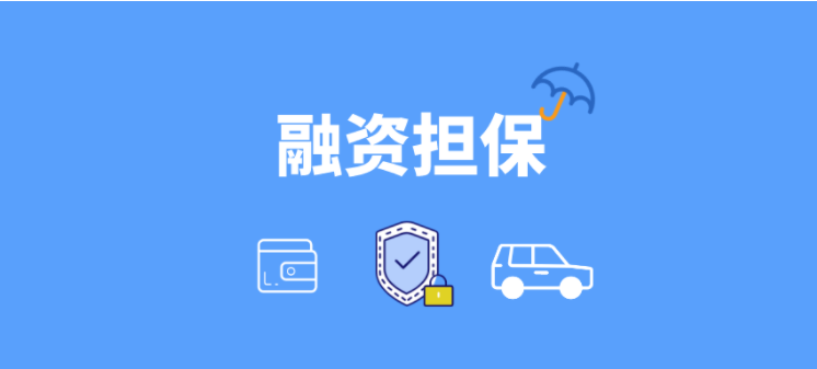 融資擔保軟件哪家好？